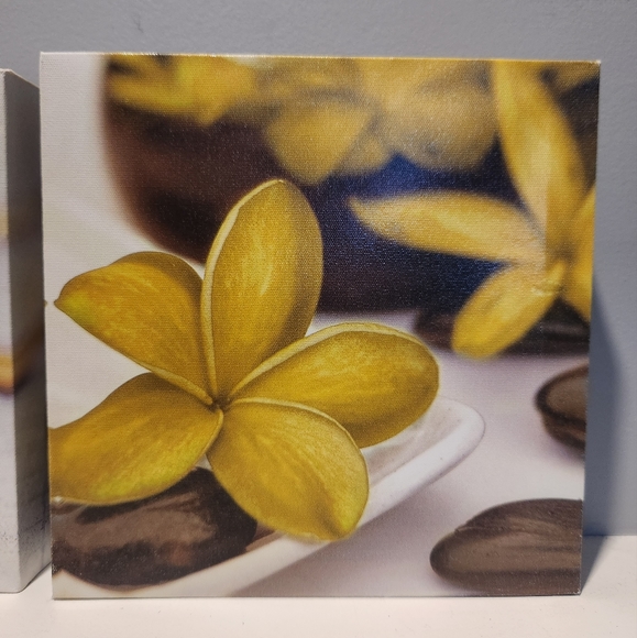 Set of 3 Floral Canvases, Yellow, Small - Picture 3 of 8